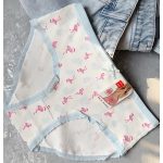 شرت فلامینگو - تصویر 3